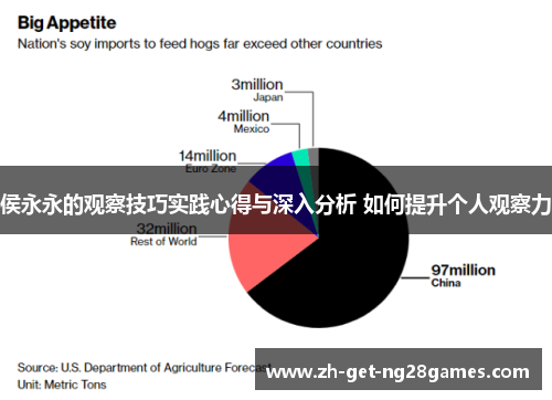 侯永永的观察技巧实践心得与深入分析 如何提升个人观察力 侯永永的观察技巧实践心得与深入分析 如何提升个人观察力