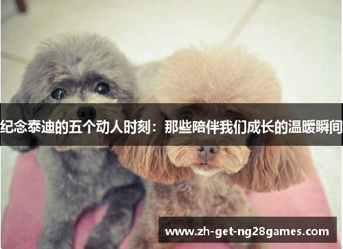 纪念泰迪的五个动人时刻:那些陪伴我们成长的温暖瞬间 纪念泰迪的五个动人时刻:那些陪伴我们成长的温暖瞬间