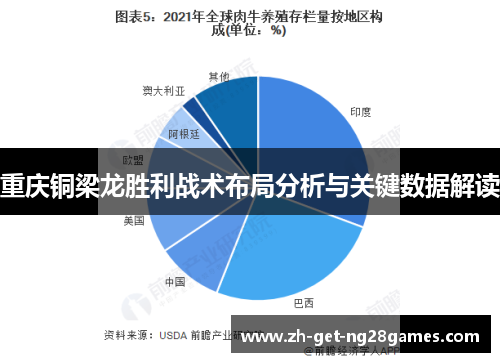 重庆铜梁龙胜利战术布局分析与关键数据解读 重庆铜梁龙胜利战术布局分析与关键数据解读